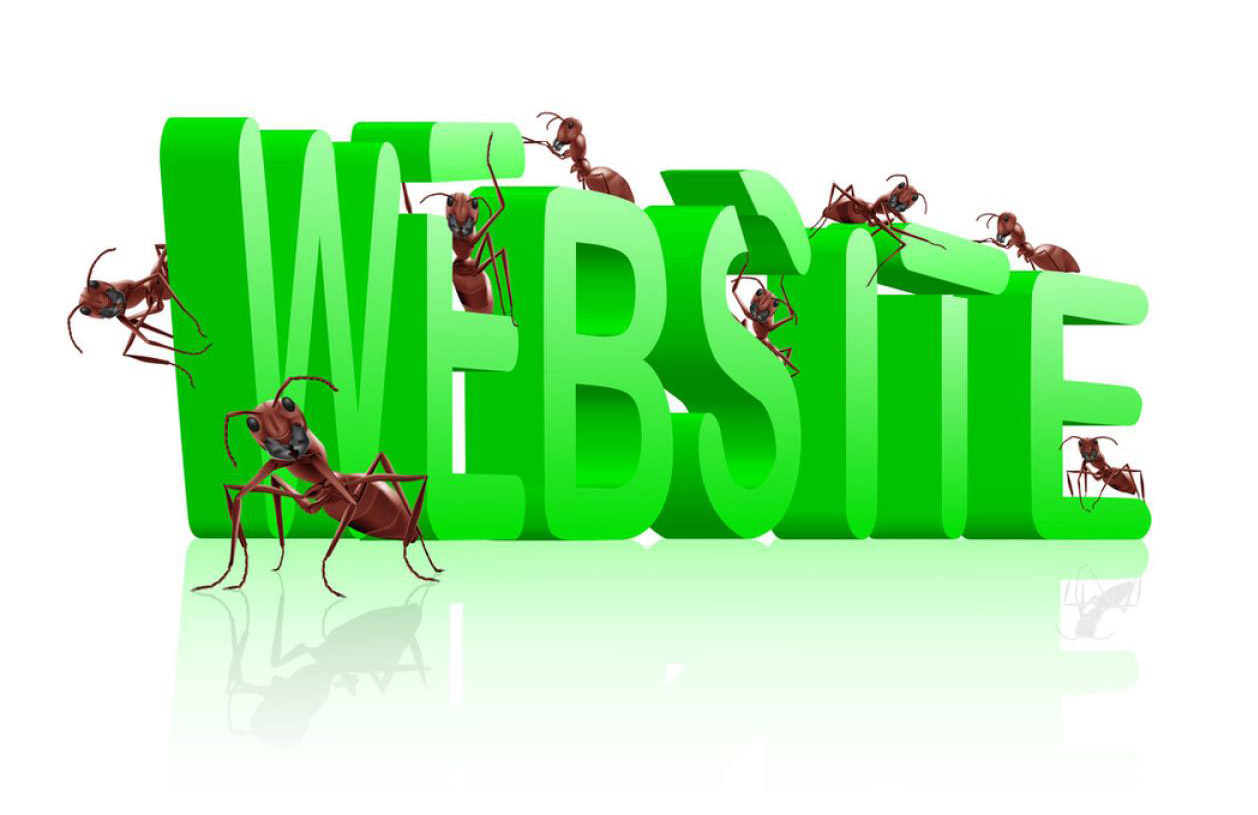 網(wǎng)站建設(shè)