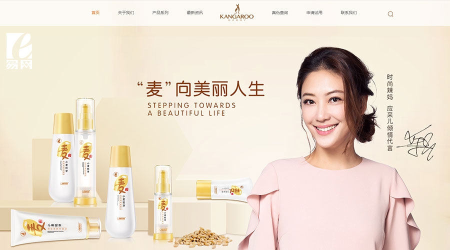 網(wǎng)站設(shè)計(jì)