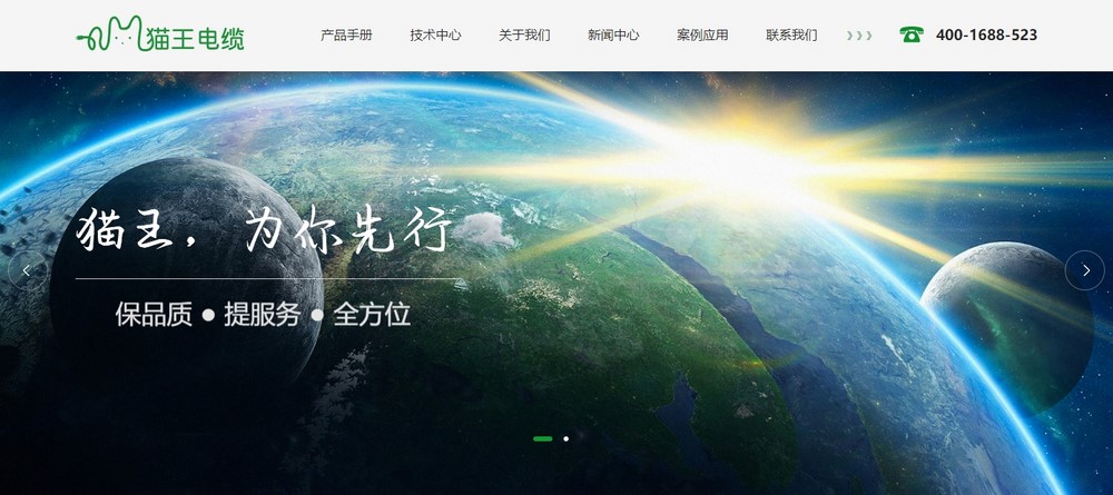 上海網(wǎng)站建設(shè)